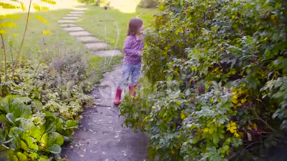 在花园里收集野玫瑰浆果的小女孩视频的预览图