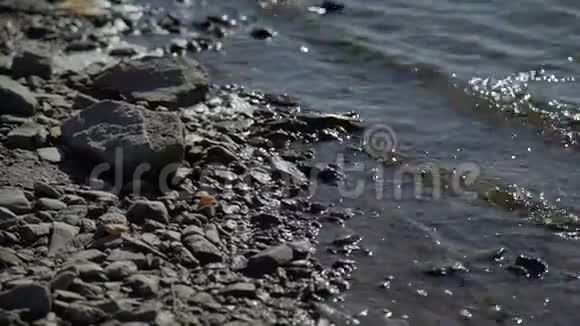 沙滩上有闪亮的快速河和石头视频的预览图