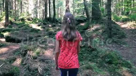 女孩在阳光明媚的日子在秘密通道探索森林视频的预览图