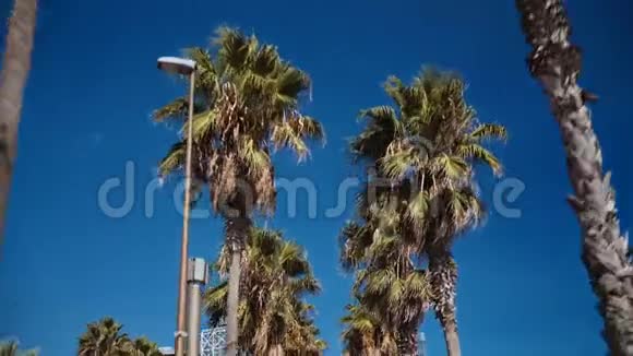 度假胜地棕榈树的天空景色视频的预览图