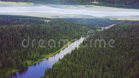 鸟瞰宽阔的河流在森林中流动镜面视界效果绿色森林的美丽景色视频的预览图