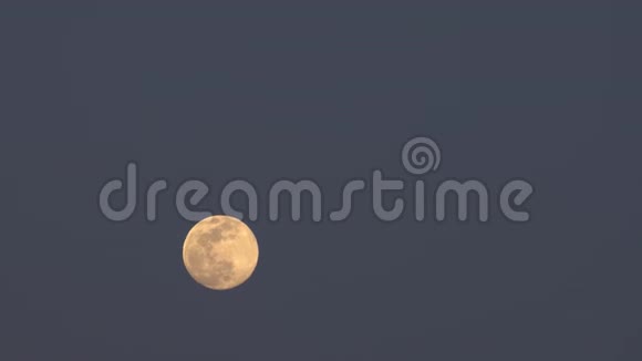 月圆夜景伴林湖视频的预览图