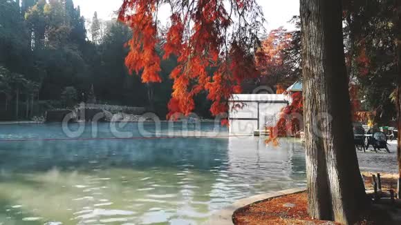 温泉秋池嘉德湖热公园视频的预览图