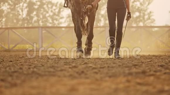 日落时分一个年轻的骑师女孩在竞技场上牵着她的马视频的预览图