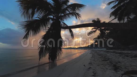 热带岛屿有棕榈树的异国海滩假期和假期概念视频的预览图