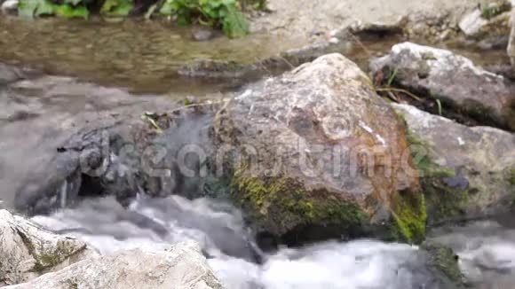 河里的化石视频的预览图