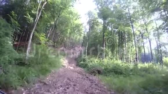 在森林道路上行驶在树林里开得又快又极端萨法里SUV准备比赛的轮胎非公路视频的预览图