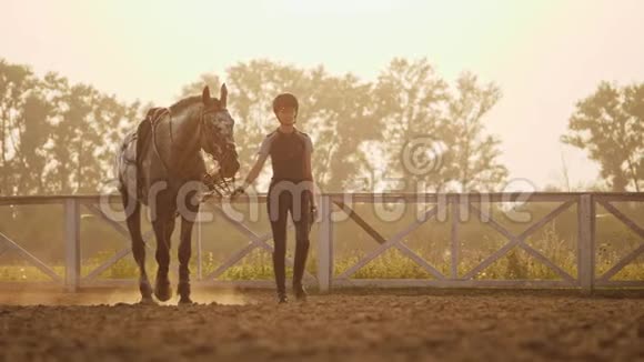 日落时分一个年轻的骑师女孩在竞技场上牵着她的马视频的预览图