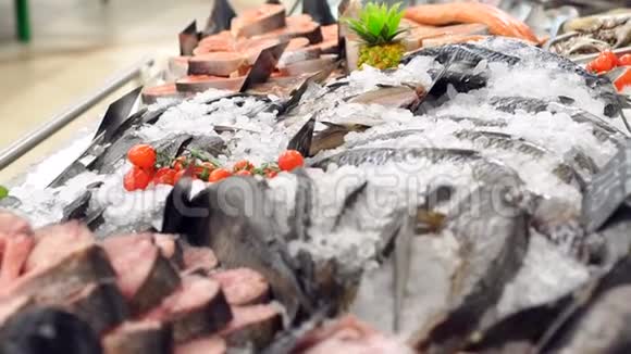 新鲜的地中海鱼在商店柜台上在冰上特写视频的预览图