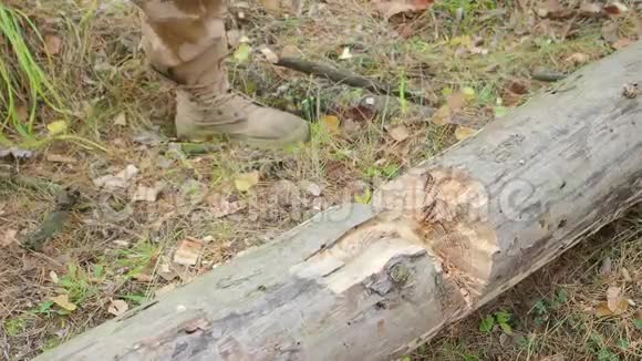 斧头砍树的特写很多木片飞散开来业和林业的概念背景模糊视频的预览图