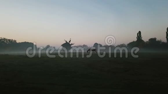 在雾蒙蒙的早晨在田野上的马和磨坊平静悲伤的抑郁神秘气氛乡间秋天的早晨视频视频的预览图