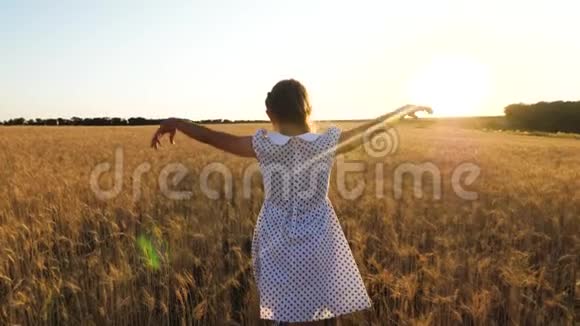 快乐的女孩在成熟的麦地里玩耍和飞翔慢动作视频的预览图