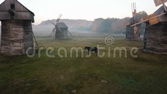 惊人的视频与马在田野之间的磨坊乡间雾蒙蒙的早晨马在空地上吃草视频的预览图