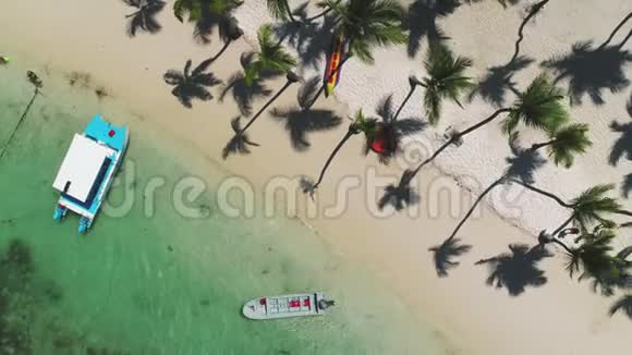 有棕榈树的异国海滩假期和假期概念热带岛屿视频的预览图