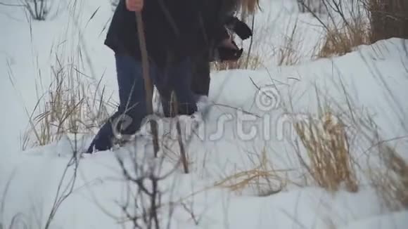 鸟类学家们穿过厚厚的雪堆来到树上的鸟窝视频的预览图