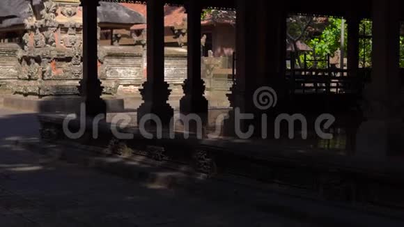 在一片布满石雕的猴子森林内的寺庙的照片视频的预览图