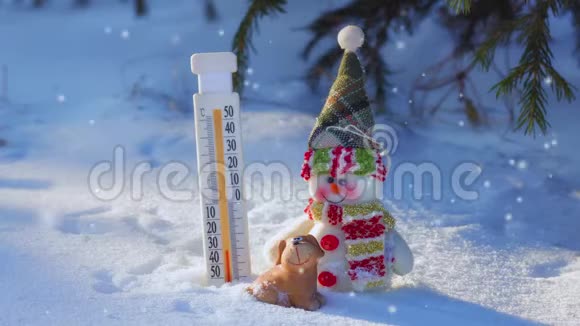 冬天森林里的雪人狗和温度计降雪视频的预览图