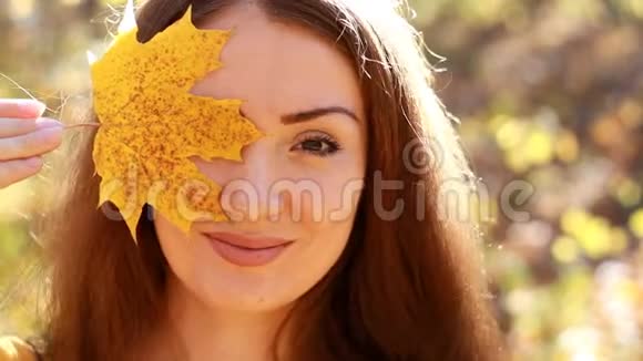 女人手里拿着枫叶在秋天阳光明媚的日子里在森林里有黄色和金色的叶子视频的预览图