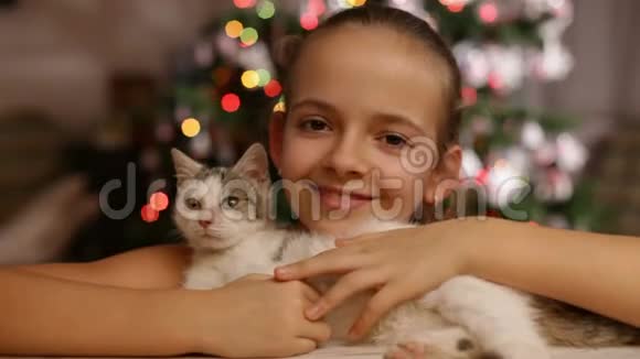 圣诞快乐女孩抱着小猫视频的预览图