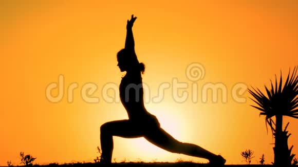 日落山顶柔性女性瑜伽练习剪影运动视频的预览图