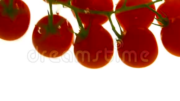 把洒在水里的樱桃番茄的枝条视频的预览图