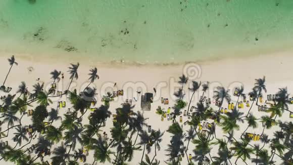 带椰子棕榈树和美丽海岸线的热带海滩鸟瞰图视频的预览图