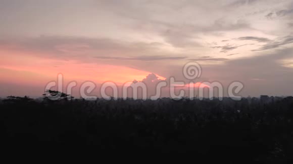 巴厘岛热带丛林日落4K风射视频的预览图