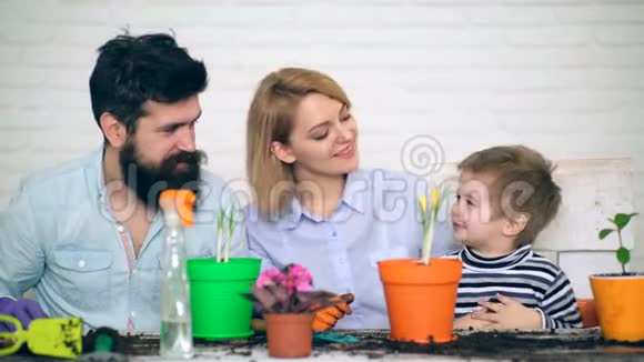 一家人交流在花盆里种花园艺的概念种花视频的预览图
