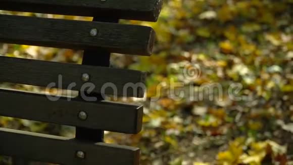 秋天公园长凳和落叶特写镜头视频的预览图