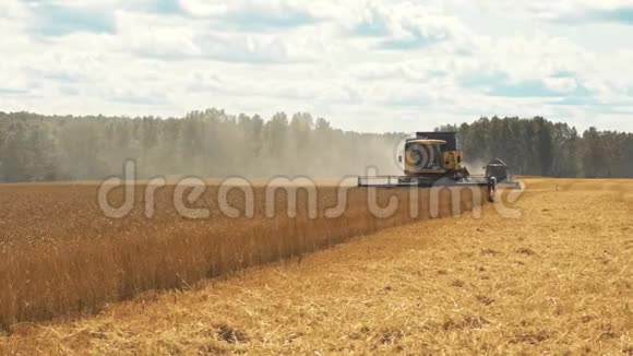 联合收割机在农田收割小麦视频的预览图