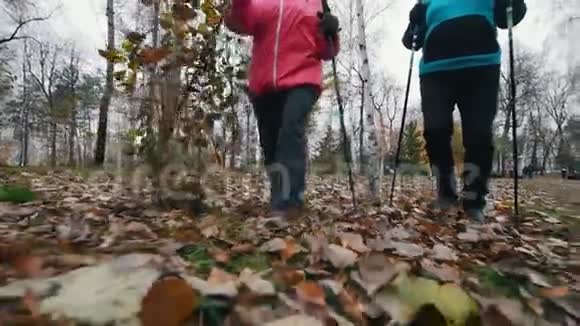 两位老年妇女用北欧的拐杖走路深秋在枯叶上行走视频的预览图