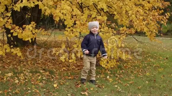 小男孩玩得很开心在秋天公园里跳视频的预览图