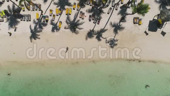 带椰子棕榈树和美丽海岸线的热带海滩鸟瞰图视频的预览图