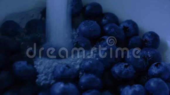 清洗新鲜的有机蓝莓视频的预览图