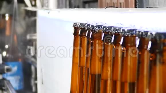啤酒厂的概念啤酒厂自动啤酒装瓶生产线传送带上准备好的装满瓶子的队列关门视频的预览图