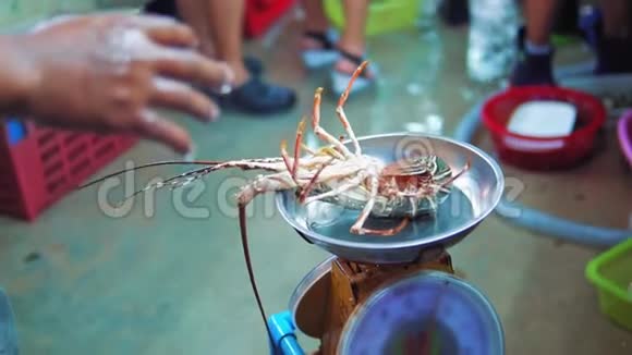 亚洲的夜间食品市场鳞虾搅动爪子向餐馆和旅行者出售海鲜异国风味的菜肴视频的预览图