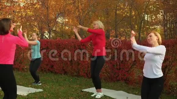 户外女性瑜伽课群女在秋季公园训练健身锻炼健身女子进行体育锻炼视频的预览图