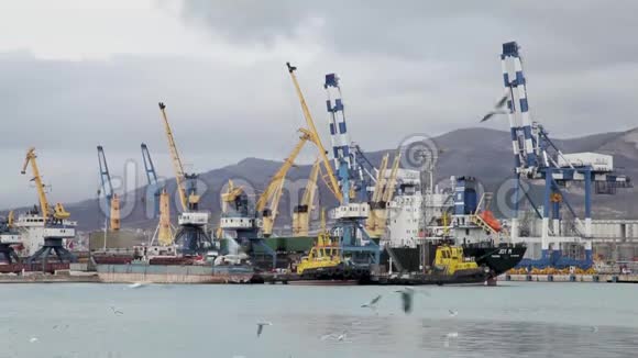 货运海港黑海俄罗斯新罗西斯克视频的预览图