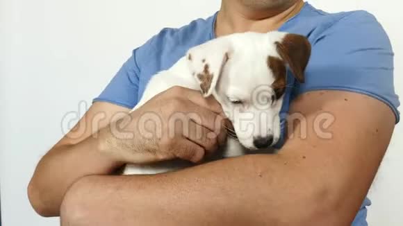 穿着蓝色t恤的人抱着一只小狗在怀里视频的预览图