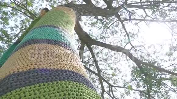 树干装饰着各种颜色的美丽针织物视频的预览图