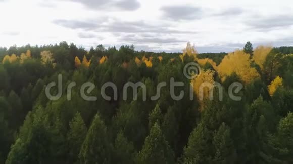 空中运动在森林上方天空下有清晰的方形场地视频的预览图