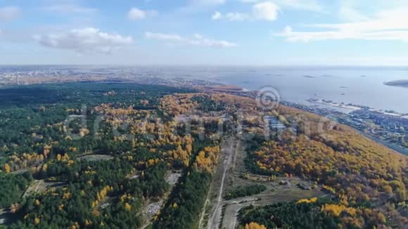 空中观景绿色和金色森林近湖对天视频的预览图