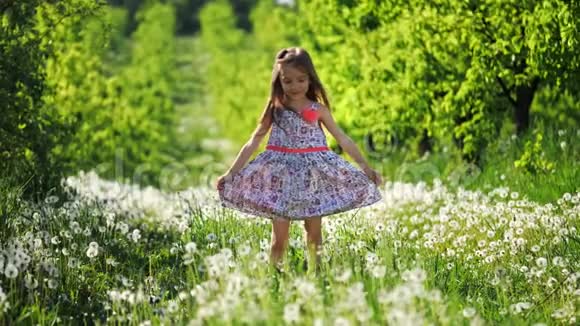 在一个阳光明媚的日子里一个小女孩正在花园里用蒲公英旋转慢动作视频的预览图