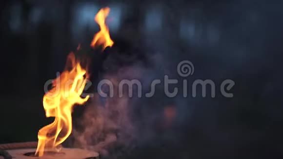 在这附近的地面上有惊人的长火和斧头令人惊叹的篝火在森林中燃烧视频的预览图