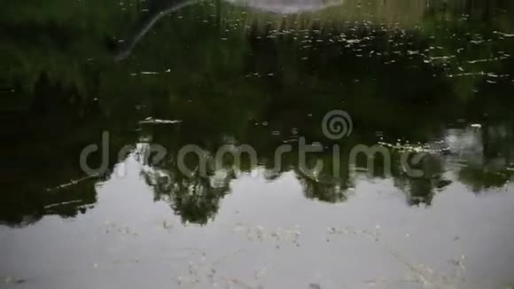 雨和尼斯湖视频的预览图