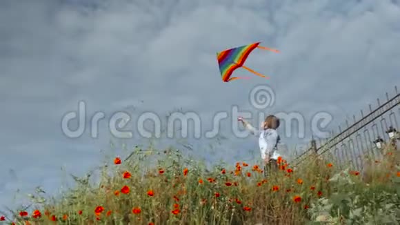 小男孩站在草地上手里拿着放着五颜六色的风筝视频的预览图