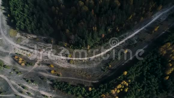 从高速公路到常青树和金色树林的空中运动视频的预览图