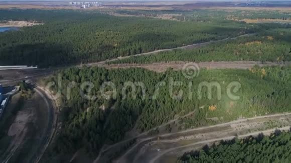空中运动在宽阔的森林上空穿过空道视频的预览图