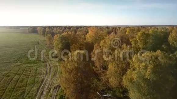 在黄桦林上空乘绿野飞机飞行视频的预览图