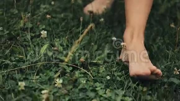 女人脚在绿色的夏草上散步田野的花特写镜头夏日时光视频的预览图